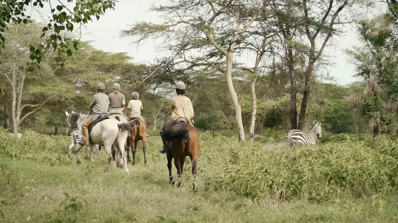Dolly Horseback Ride Safari from Moshi or Arusha