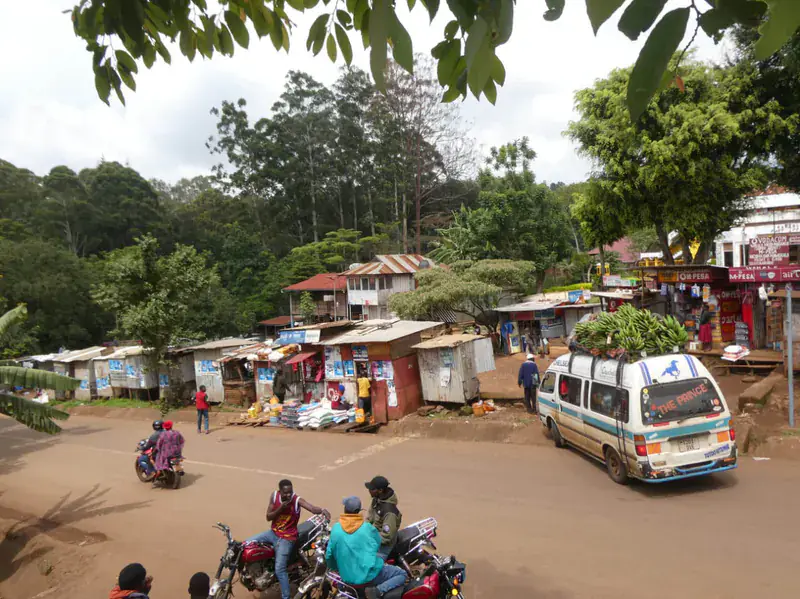 Arusha City to Marangu transfer