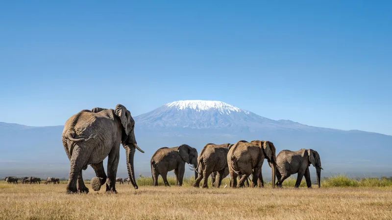 Amboseli National Park, Kenya