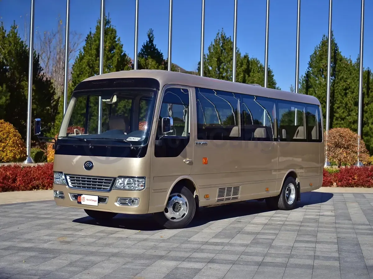 Coaster private transfer vehicle in Tanzania
