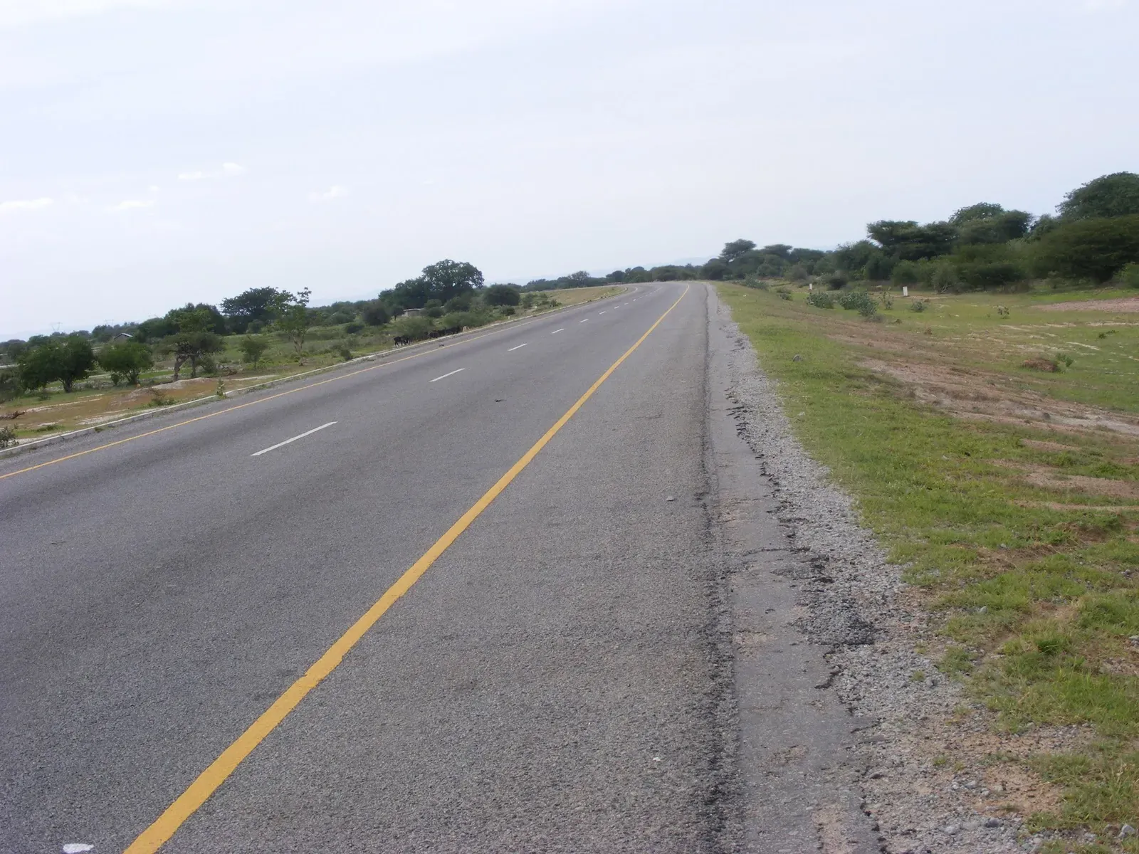 Dar es Salaam to Dodoma transfer