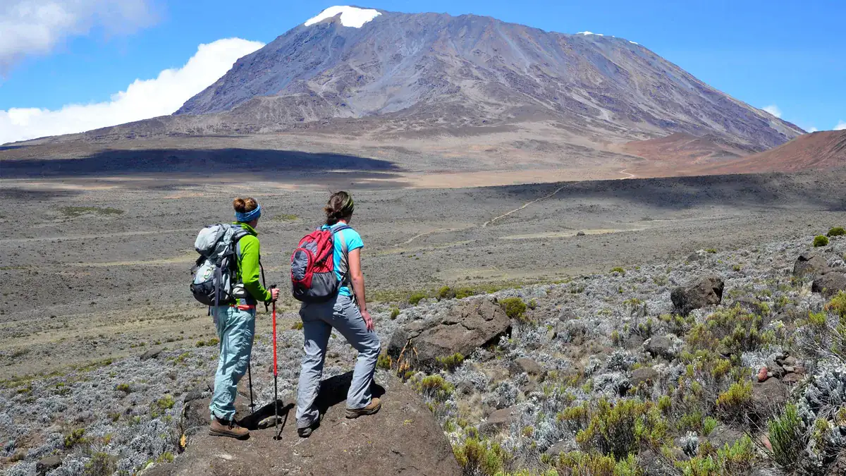 Mount Kilimanjaro Day Hike (Shira Plateau) from Moshi or Arusha in Northern Tanzania
