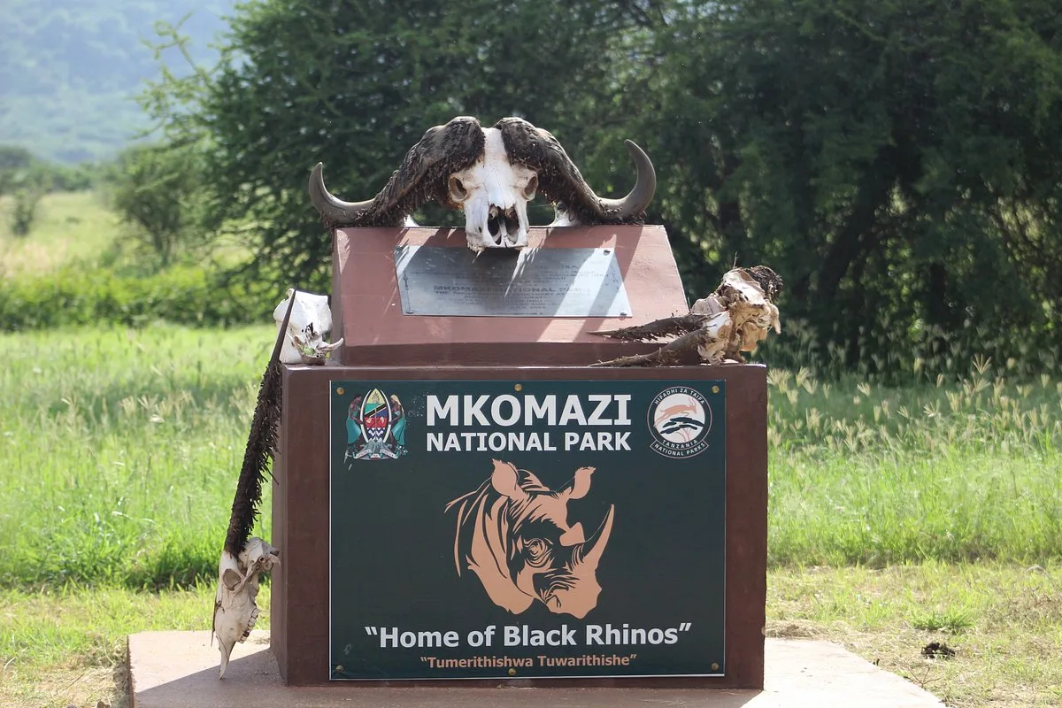 Arusha City to Mkomazi National Park transfer