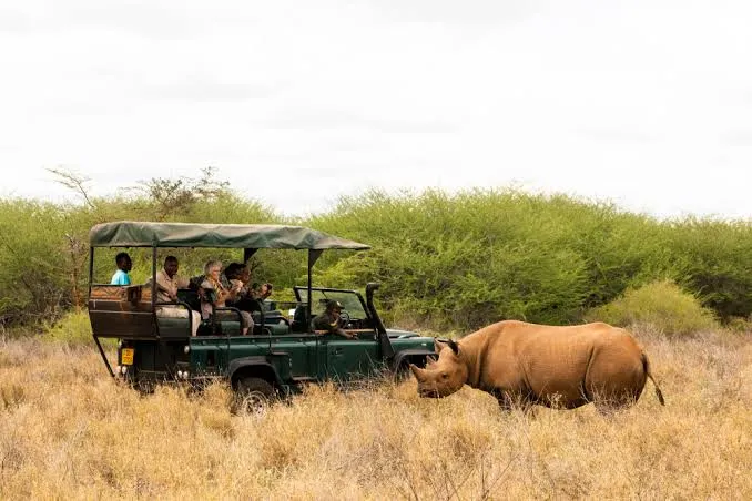 Moshi Town to Mkomazi National Park transfer