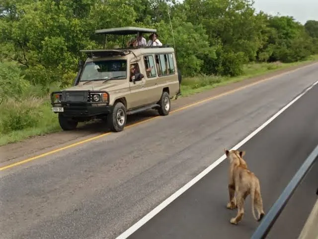 Morogoro to Mikumi transfer