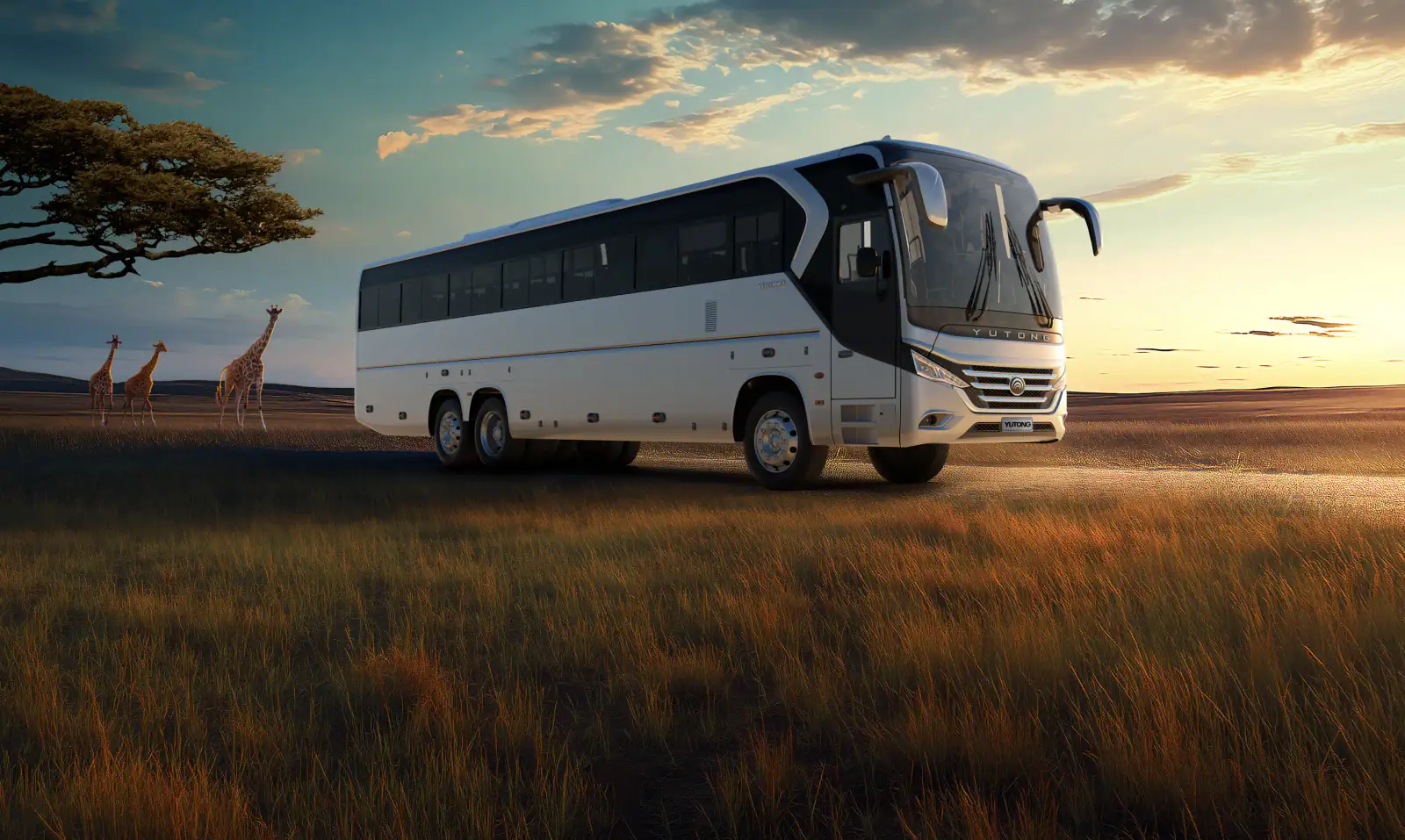 Bus / Yutong Coach private transfer vehicle in Tanzania